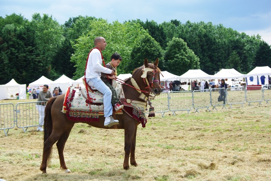 Le Moussem des Cultures 2008 085.jpg
